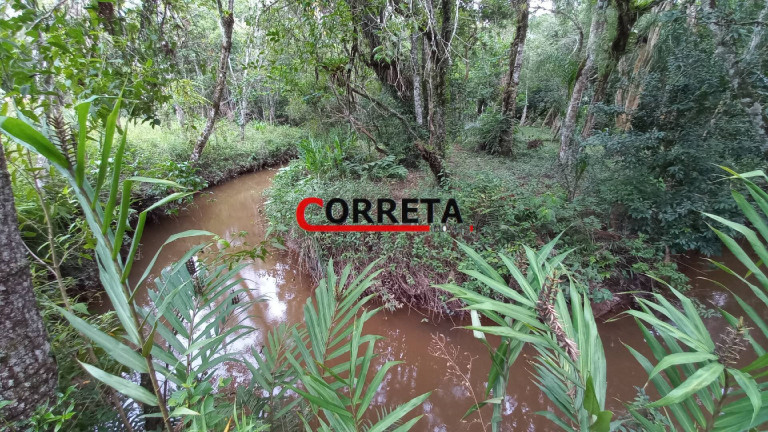 Imagem Casa com 3 Quartos à Venda, 3.848 m² em Vargem Do Salto - Ibiúna Imagem Casa com 3 Quartos à Venda, 3.848 m² em Vargem Do Salto - Ibiúna