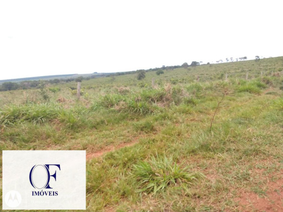 Imagem Fazenda à Venda, 3.097 m² em Rural - Chapadão Do Sul Imagem Fazenda à Venda, 3.097 m² em Rural - Chapadão Do Sul