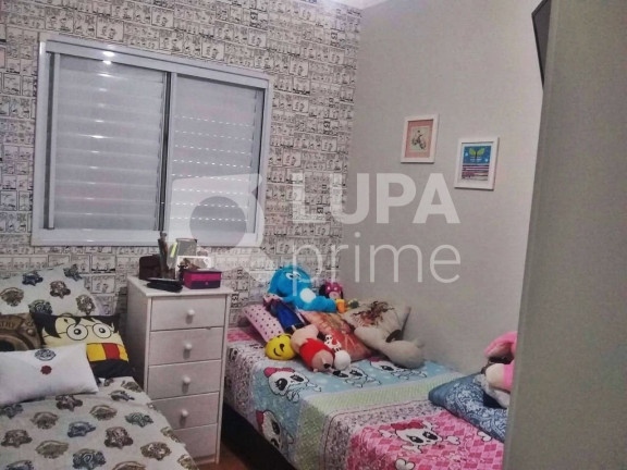 Imagem Apartamento com 3 Quartos à Venda, 67 m² em Vila Constança - São Paulo