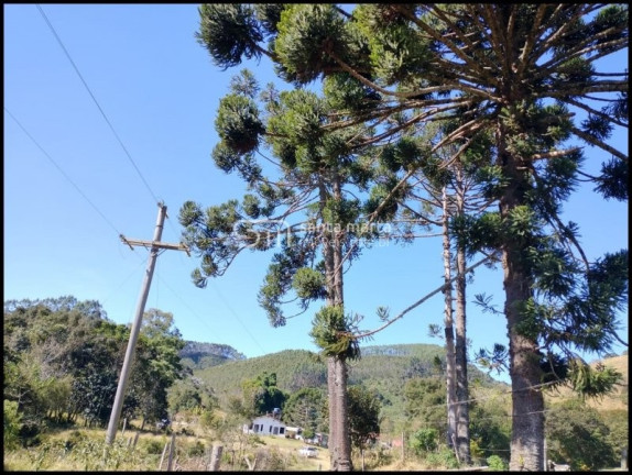 Imagem Imóvel com 3 Quartos à Venda, 1.161.600 m² em Lagoa - Silveiras