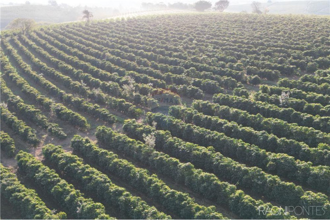 Imagem Fazenda à Venda, 3.650.000 m² em Zona Rual - Andradas