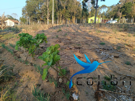 Imagem Chácara com 2 Quartos à Venda, 6.890 m² em Pavãozinho - Agudos Do Sul