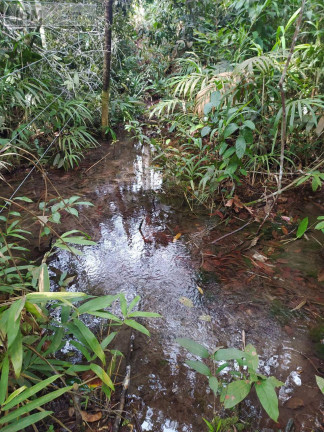 Imagem Chácara com 2 Quartos à Venda, 2.500 m² em Nova Lacerda