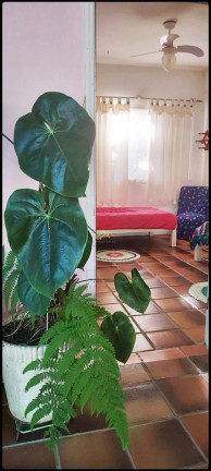 Imagem Casa com 5 Quartos à Venda, 280 m² em Itaguá - Ubatuba