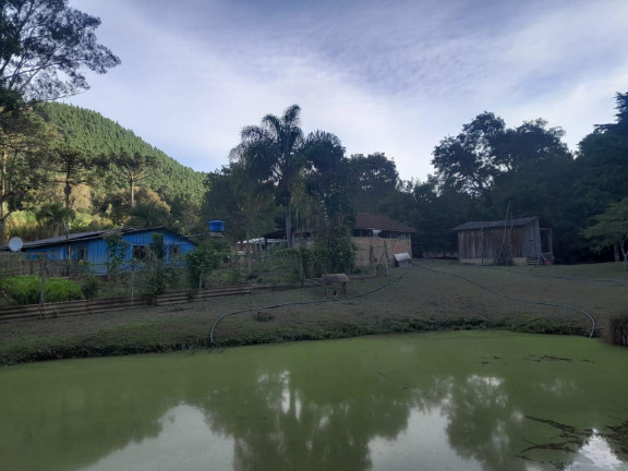 Imagem Imóvel com 3 Quartos à Venda, 72.000 m² em Centro - Tunas Do Parana