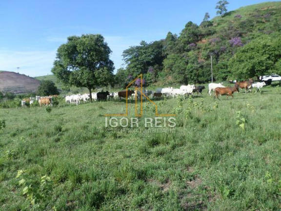 Imagem Fazenda à Venda, 487 m² em Rural - Casimiro De Abreu Imagem Fazenda à Venda, 487 m² em Rural - Casimiro De Abreu