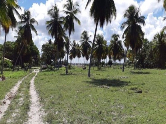 Fazenda à Venda, 550.000 m² em Mangue Seco - Jandaíra