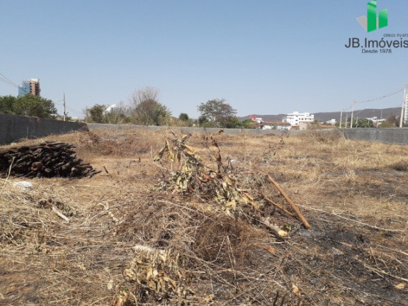 Imagem Imóvel para Alugar, 4.500 m² em Todos Os Santos - Montes Claros Imagem Imóvel para Alugar, 4.500 m² em Todos Os Santos - Montes Claros