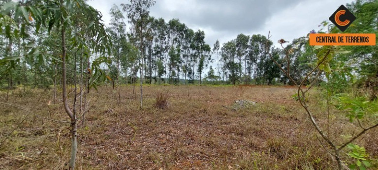 Imagem Imóvel com 2 Quartos à Venda, 100 m² em Pitanguinha - Simões Filho Imagem Imóvel com 2 Quartos à Venda, 100 m² em Pitanguinha - Simões Filho