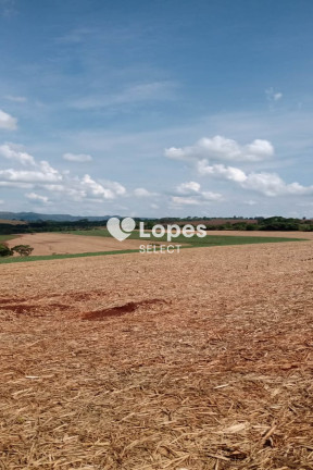 Imagem Imóvel com 1 Quarto à Venda, 310 m² em área Rural De Ribeirão Preto - Ribeirão Preto Imagem Imóvel com 1 Quarto à Venda, 310 m² em área Rural De Ribeirão Preto - Ribeirão Preto