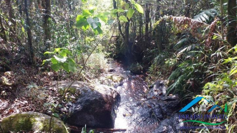 Imagem Terreno à Venda, 113.740 m² em Centro - Gonçalves Imagem Terreno à Venda, 113.740 m² em Centro - Gonçalves