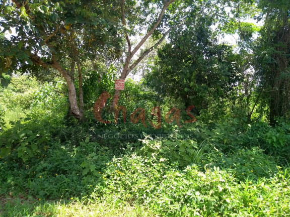 Terreno à Venda, 300 m² em Golfinho - Caraguatatuba