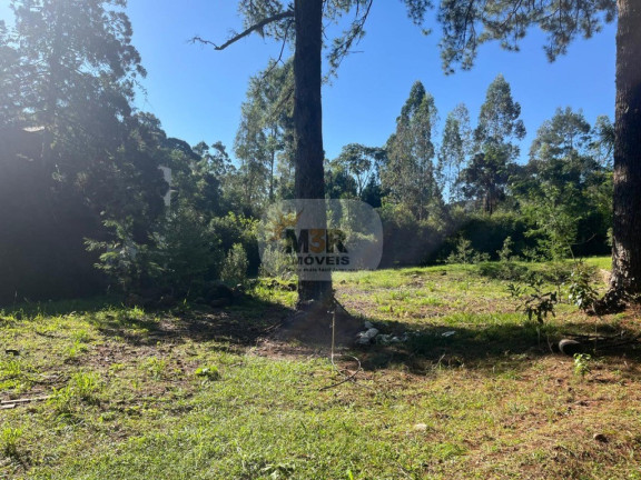Imagem Terreno à Venda, 5.633 m² em Pousada Da Neve - Nova Petrópolis