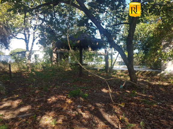 Imagem Chácara à Venda, 60 m² em Paraty - Araruama Imagem Chácara à Venda, 60 m² em Paraty - Araruama