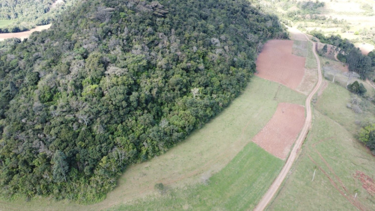 Imagem Chácara com 4 Quartos à Venda, 365.000 m² em Centro - Vale Do Sol
