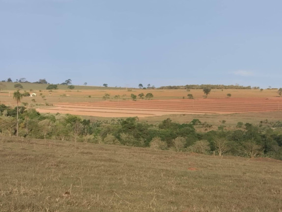 Imagem Fazenda à Venda, 726 m² em Vila Tazitsu - Presidente Prudente Imagem Fazenda à Venda, 726 m² em Vila Tazitsu - Presidente Prudente