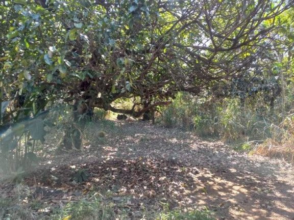Imagem Terreno à Venda, 6.000 m² em Esplanada Independência - Taubaté Imagem Terreno à Venda, 6.000 m² em Esplanada Independência - Taubaté