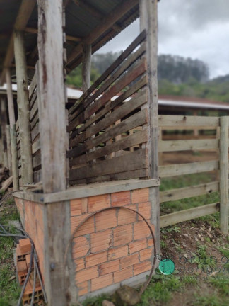 Imagem Imóvel com 3 Quartos à Venda, 250.000 m² em Zona Rural - Bom Retiro