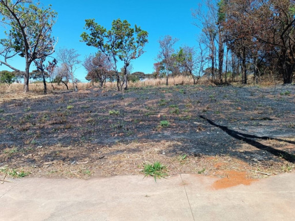 Imagem Terreno à Venda, 490 m² em Setor Faiçalville - Goiânia Imagem Terreno à Venda, 490 m² em Setor Faiçalville - Goiânia