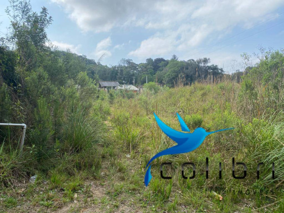 Imagem Terreno à Venda, 730 m² em Quatro Pinheiros - Mandirituba Imagem Terreno à Venda, 730 m² em Quatro Pinheiros - Mandirituba