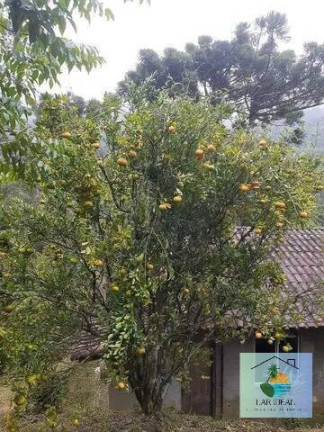 Imagem Casa com 2 Quartos à Venda, 2 m² em Lumiar - Nova Friburgo Imagem Casa com 2 Quartos à Venda, 2 m² em Lumiar - Nova Friburgo