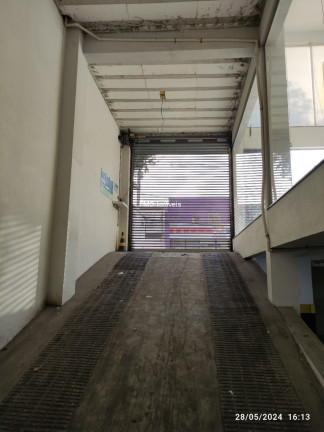 Imagem Imóvel para Alugar, 630 m² em Jardim Peri Peri - São Paulo Imagem Imóvel para Alugar, 630 m² em Jardim Peri Peri - São Paulo