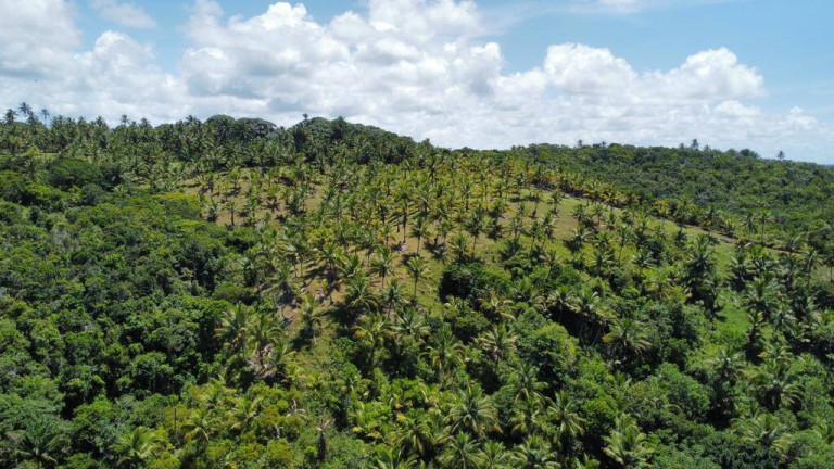 Imagem Chácara à Venda, 22 m² em Serra Grande - Uruçuca - Uruçuca Imagem Chácara à Venda, 22 m² em Serra Grande - Uruçuca - Uruçuca