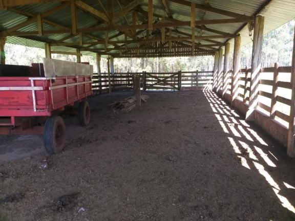 Imagem Chácara à Venda, 11 m² em Area Rural De Avaré - Avaré Imagem Chácara à Venda, 11 m² em Area Rural De Avaré - Avaré