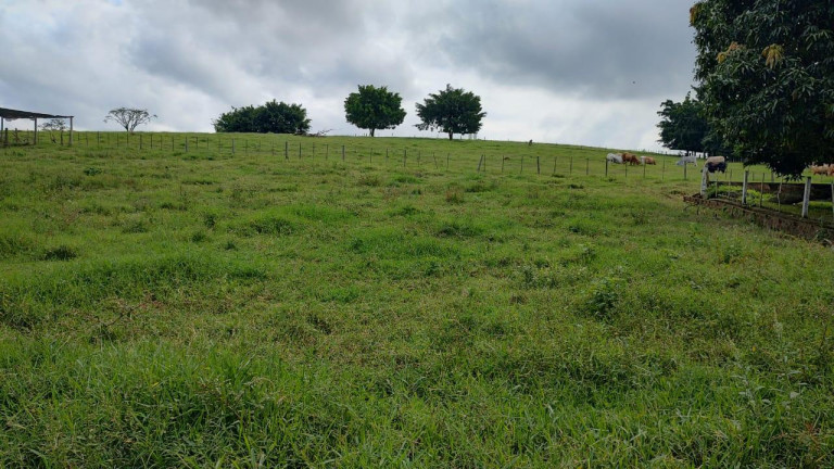Imagem Fazenda à Venda, 64 m² em Rural - Itapetininga Imagem Fazenda à Venda, 64 m² em Rural - Itapetininga