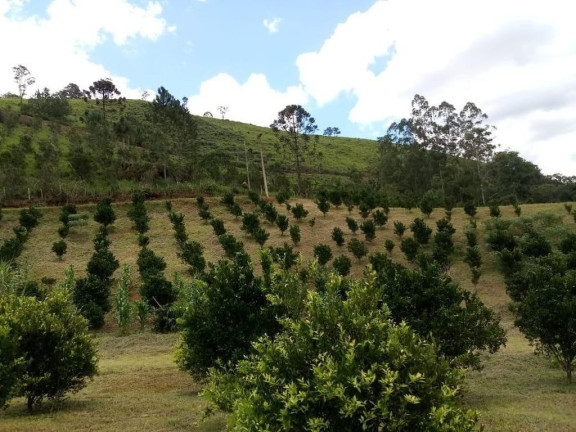 Imagem Imóvel com 2 Quartos à Venda, 51.700 m² em Centro - Cerro Azul