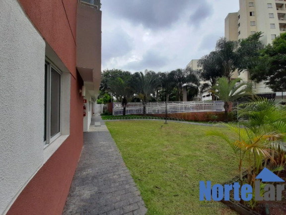 Imagem Apartamento com 2 Quartos à Venda, 56 m² em Vila Amélia - São Paulo