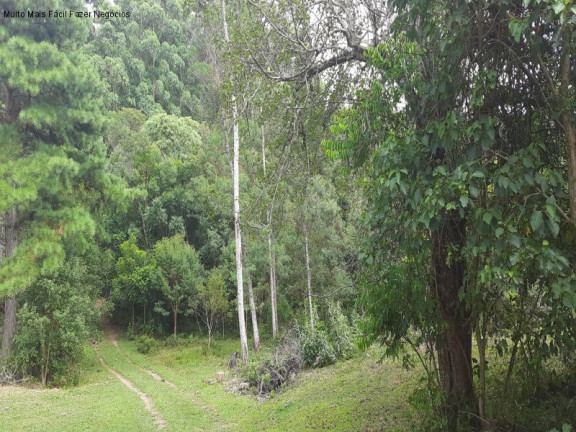 Imagem Terreno à Venda, 1 m² em Fazenda Pirajá - Nova Petrópolis Imagem Terreno à Venda, 1 m² em Fazenda Pirajá - Nova Petrópolis