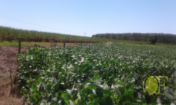 Imagem Fazenda à Venda, 793 m² em Rural - Ivinhema Imagem Fazenda à Venda, 793 m² em Rural - Ivinhema