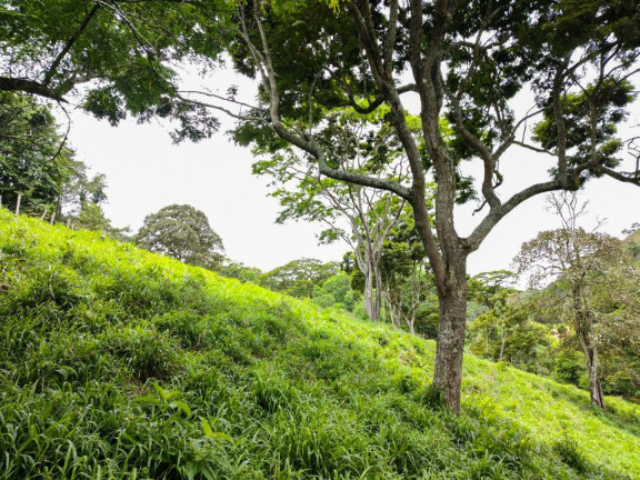 Imagem Imóvel com 3 Quartos à Venda, 235 m² em Colônia Alpina - Teresópolis