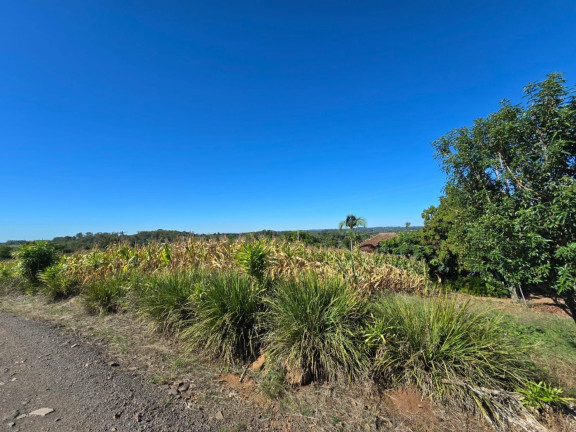 Imagem Chácara à Venda, 2.500 m² em Linha Santa Cruz - Santa Cruz Do Sul