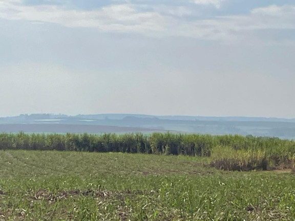 Imagem Fazenda à Venda, 303 m² em Rural - Itaí Imagem Fazenda à Venda, 303 m² em Rural - Itaí