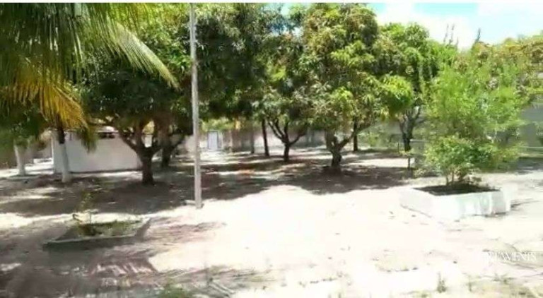 Imagem Casa com 6 Quartos à Venda, 400 m² em Planta De Lucena - Lucena