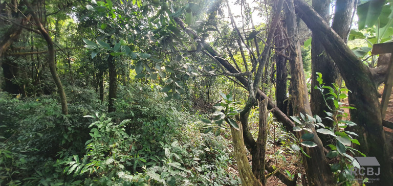 Imagem Terreno à Venda, 1.000 m² em Retiro Do Chalé - Brumadinho