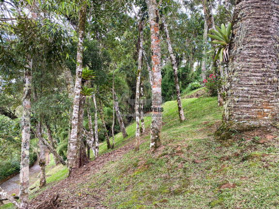 Imagem Terreno em Condomínio à Venda, 1 m² em Alto Do Vale Encantado - Campos Do Jordão Imagem Terreno em Condomínio à Venda, 1 m² em Alto Do Vale Encantado - Campos Do Jordão