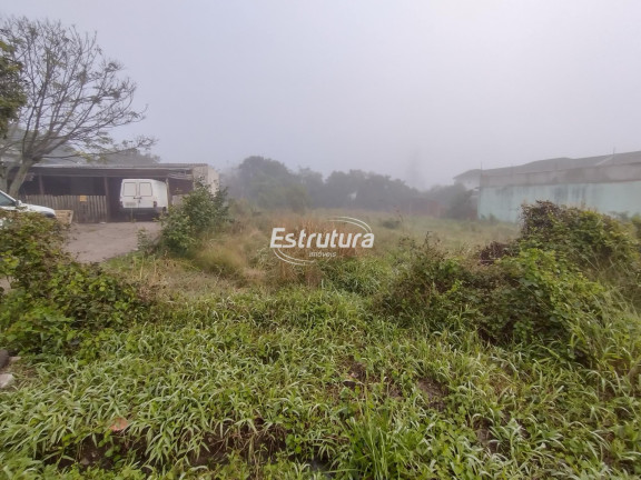 Terreno à Venda, 470 m² em Pinheiro Machado - Santa Maria