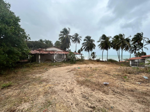 Imagem Terreno à Venda, 3.550 m² em Praia De Caraúbas - Maxaranguape Imagem Terreno à Venda, 3.550 m² em Praia De Caraúbas - Maxaranguape