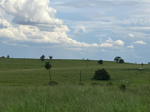 Imagem Fazenda à Venda, 532 m² em Rural - Jales Imagem Fazenda à Venda, 532 m² em Rural - Jales