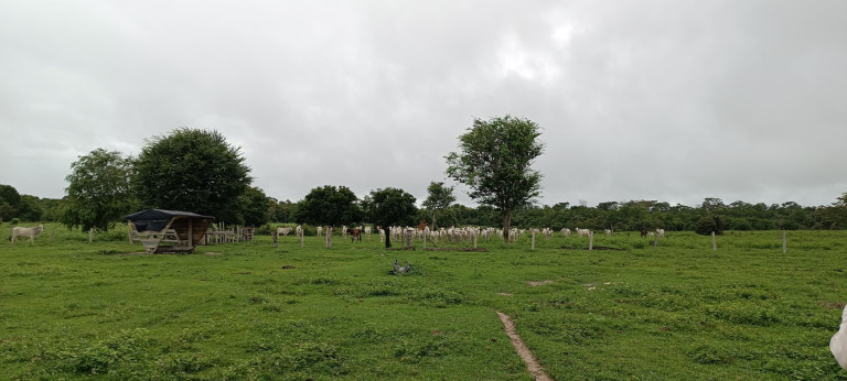 Imagem Chácara à Venda, 884 m² em Centro - Paranatinga Imagem Chácara à Venda, 884 m² em Centro - Paranatinga