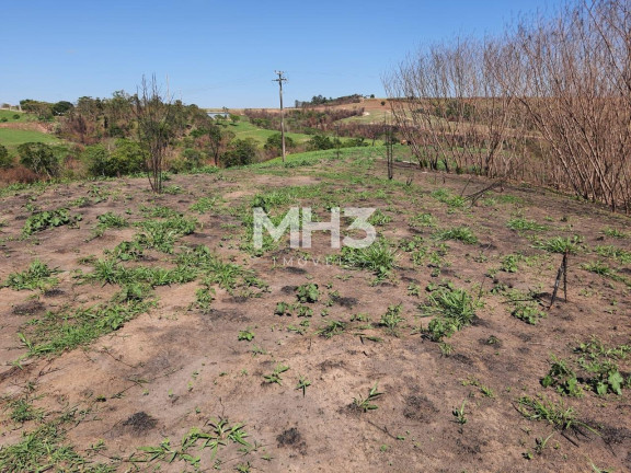 Imagem Terreno à Venda, 54.000 m² em Chácara Recreio Cruzeiro Do Sul - Santa Bárbara D'oeste