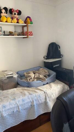 Imagem Apartamento com 2 Quartos à Venda, 55 m² em Vila Das Mercês - São Paulo