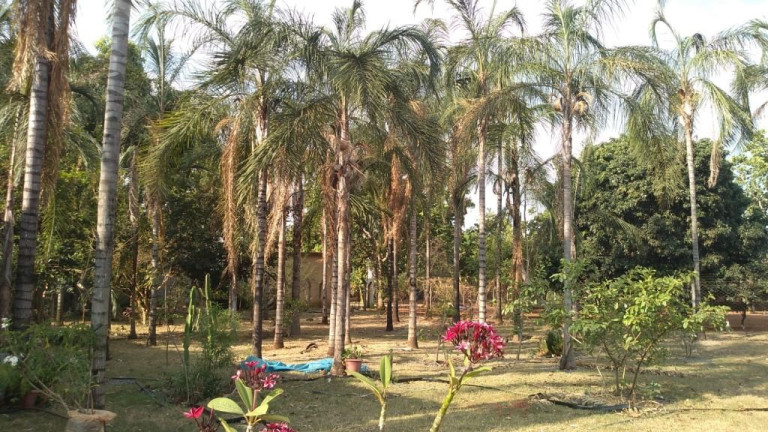 Chácara com 3 Quartos à Venda, 320 m² em Condomínio Miraflores - Hidrolândia