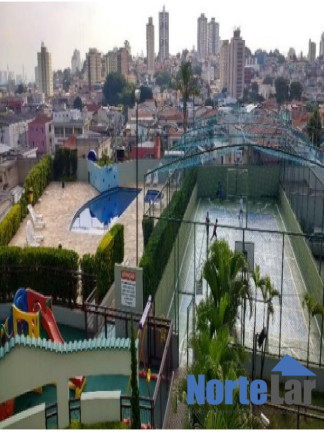 Imagem Apartamento com 2 Quartos à Venda, 55 m² em Vila Palmeiras - São Paulo Imagem Apartamento com 2 Quartos à Venda, 55 m² em Vila Palmeiras - São Paulo