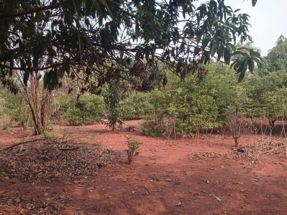Imagem Chácara à Venda, 2 m² em Vilagio Das Palmeiras - Sabáudia Imagem Chácara à Venda, 2 m² em Vilagio Das Palmeiras - Sabáudia