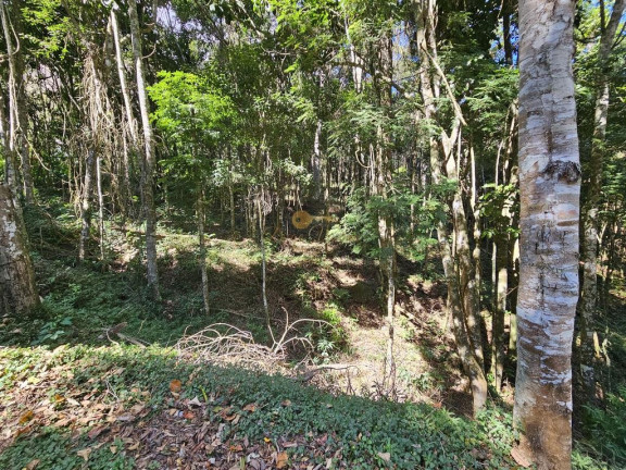 Imagem Terreno à Venda, 5.000 m² em Green Valleiy - Teresópolis