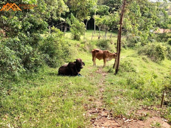 Imagem Terreno à Venda, 14.580 m² em Cangueri De Fora - Imaruí Imagem Terreno à Venda, 14.580 m² em Cangueri De Fora - Imaruí